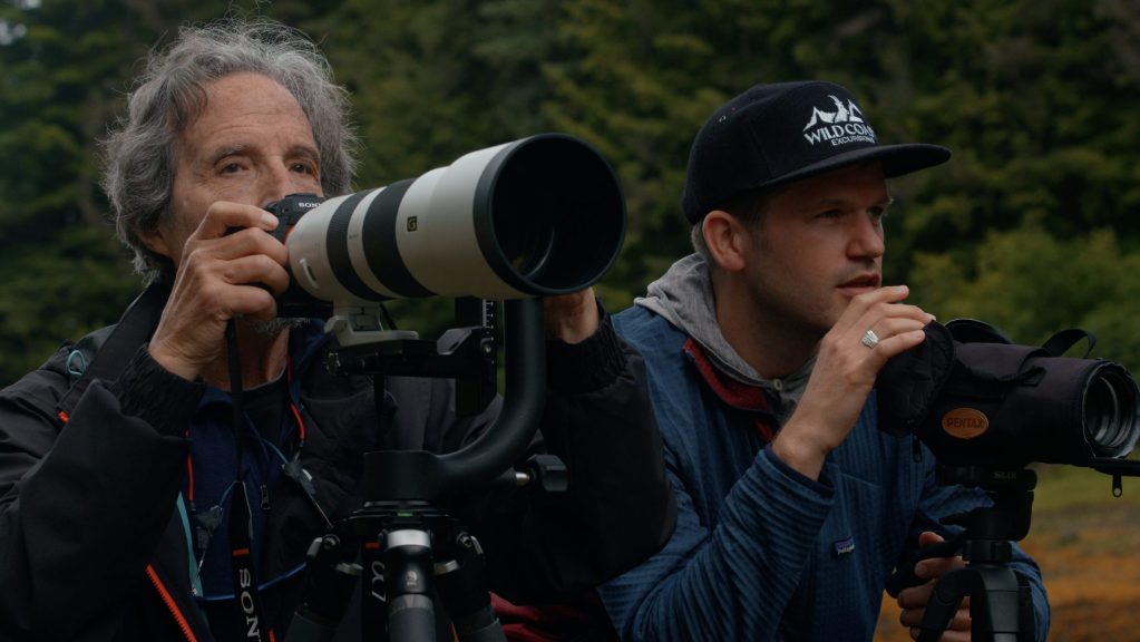 Private Bear Photography Workshops at Pack Creek and Juneau, Alaska with Wild Coast Excursions. 